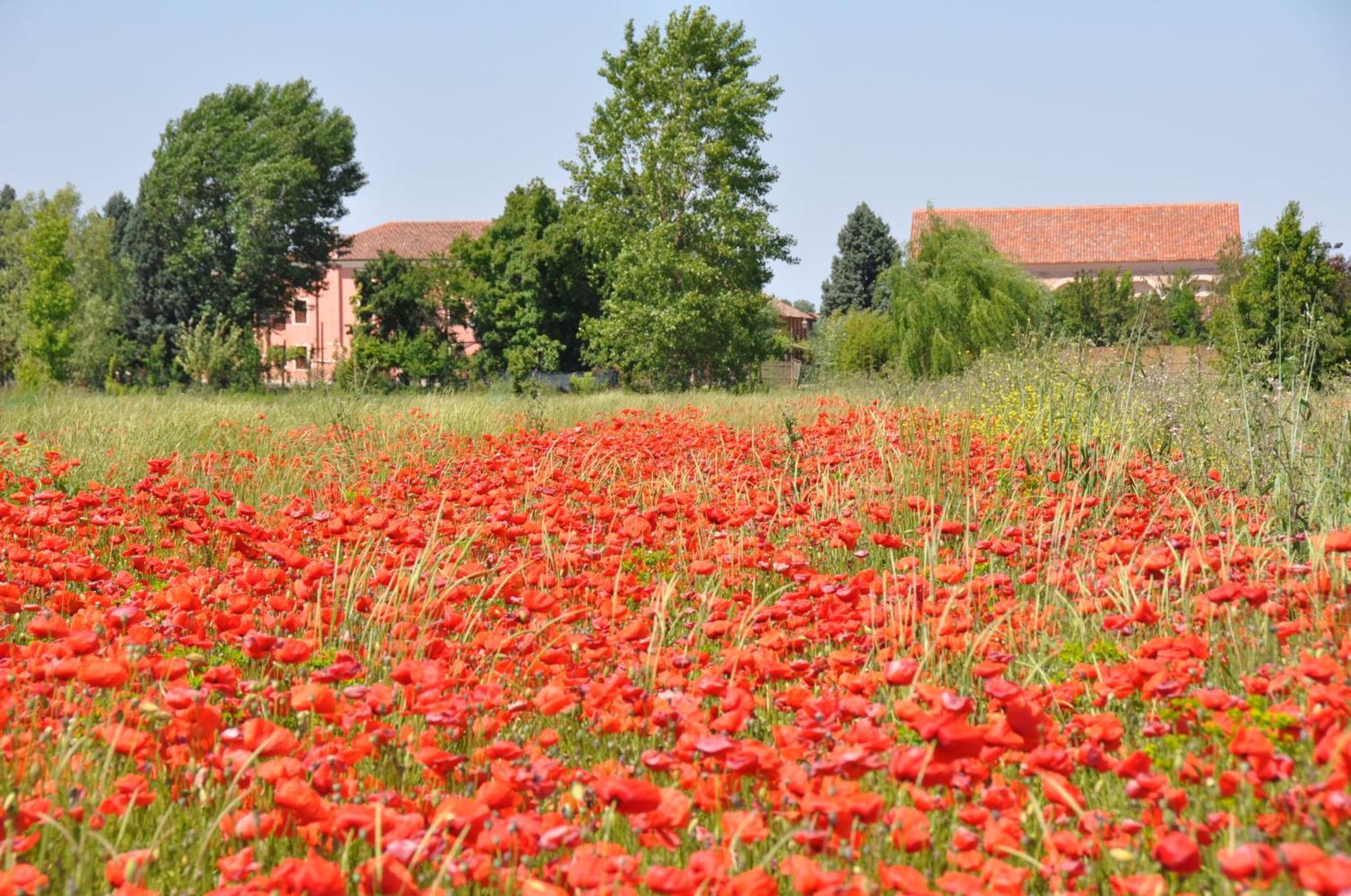Bordeghina B&B In Farmhouse Pontecchio Polesine Exterior photo